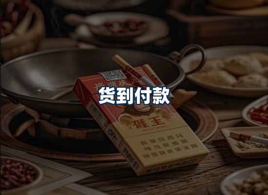 专业团队办公环境